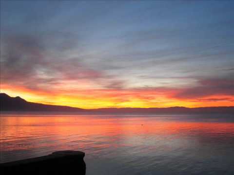 Mark Burton - Viper (Original Mix)