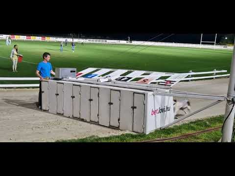 Greyhound yarışı, Kincsempark 05.05.2023