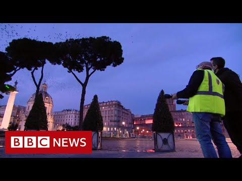 レーザーで何百万羽ものムクドリを驚かせる男 - BBC ニュース (The man startling millions of starlings with lasers - BBC News)