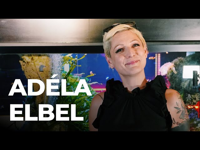 DEEP TALKS 66: Adéla Elbel - Stand-up komička, teoretická odbornice na vztahy i rozvody