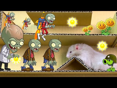 HAMSTER vs ZOMBIE 😱😱🐹 Hamster Escape  Obstacle Course Cardboard ZOMBIE