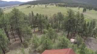 9200 W Coyote Pass | Luxury Cabin on 42 Acres Sold By Kelly Broaddus