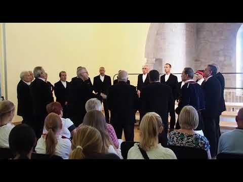 ISTRAMUSICA 2018 - Competition - Coro Palmarese (Italy)