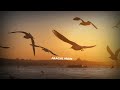 Tenu Takda Rava Whatsapp Status Song