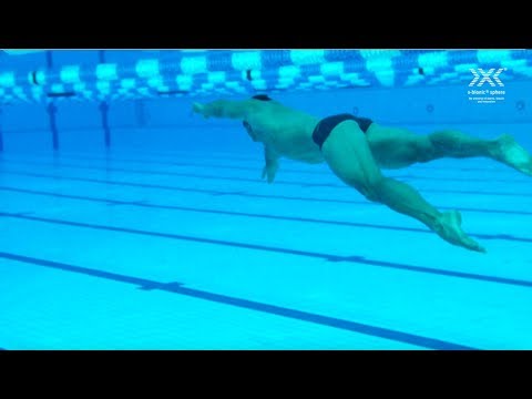 x-bionic® aquatic sphere at x-bionic® sphere I Šamorín I Slovakia