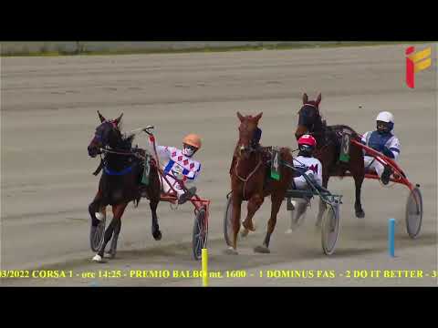I Corsa del 26 Marzo 2022 - 3 Anni - Metri 1600