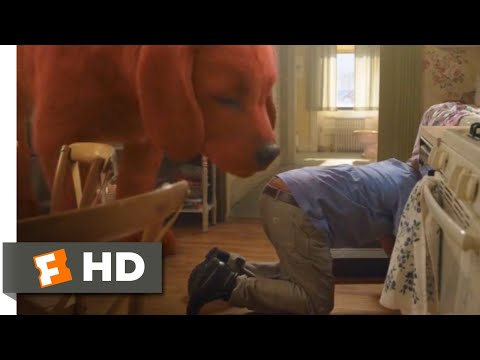 Clifford the Big Red Dog (2021) - Hiding Clifford Scene (3/10) | Movieclips