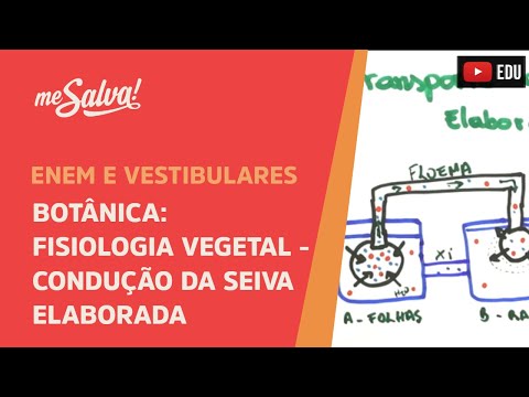 Me Salva! BOT27 - Botânica - Fisiologia vegetal: condução da seiva elaborada