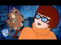 Scooby Doo Exploring The Ghostly Gold City Classic Cartoon WB Kids