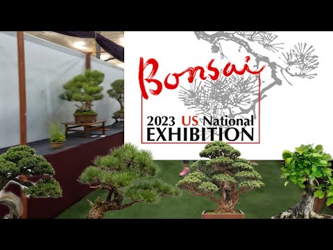EXHIBICION DE BONSAI EN ESTADOS UNIDOS The US 8va National Bonsai Exhibition in 2023 en Rochester NY