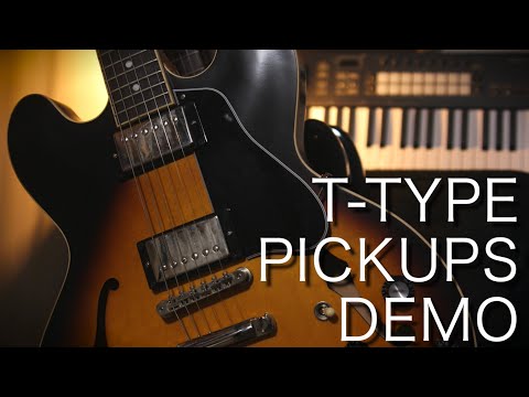 Gibson T-type calibrated set 2023-2024 image 5