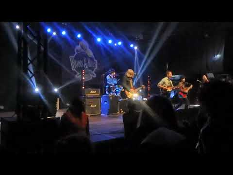 Black Lips - Song #2 (live 30.04.2022 Roots & Roses Festival Belgium)