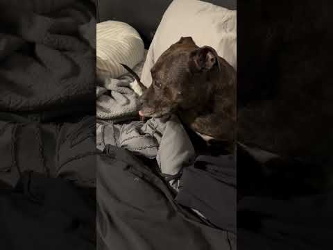 Shocker.. somebody had problem with Sunday laundry!! Also WHY was MOM doing laundry on Mother’s Day?