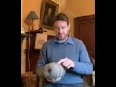 Post "Sheep Show" yarn check-in!