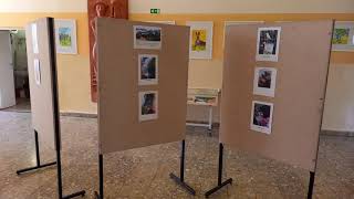 Az 5.b A mi kertünk című fotókiállítása 2022.05.