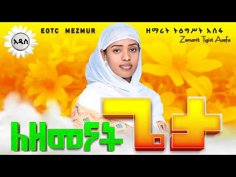 አዲስ ዘመን አየን