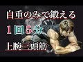 自重のみで鍛える上腕三頭筋の5分間(5minute Triceps Workout)