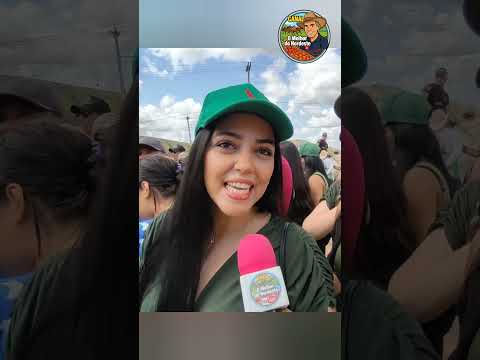 1ª Feira de Animais de Buenos Aires-PE #omelhordonordeste #cavalo #feira #buenosairespe