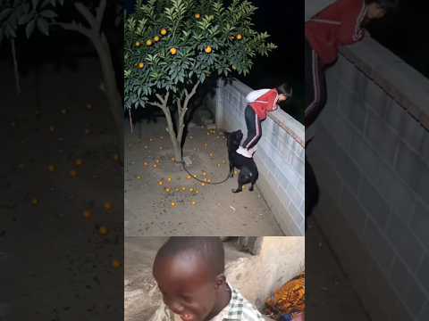 time for corruption #funny