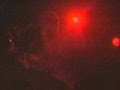 The Gits "Precious Blood"