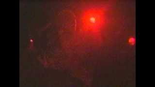 The Gits &quot;Precious Blood&quot;