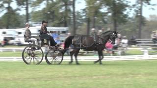 preview picture of video '4-11-2014 Donna Crookston Dressage'