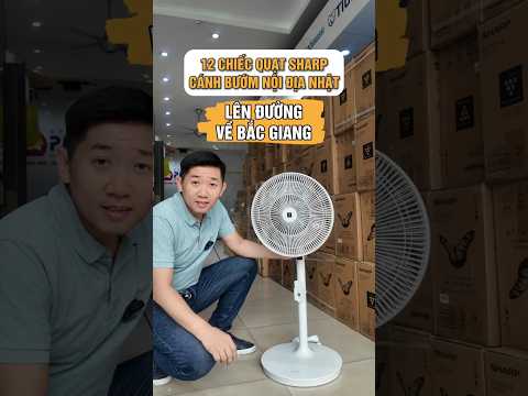 Video Thumb