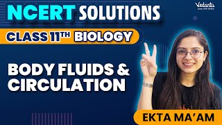 Body Fluids and Circulation Class 11 Biology | Chapter 15 NCERT Solutions (Ques 1 - 14) | CBSE