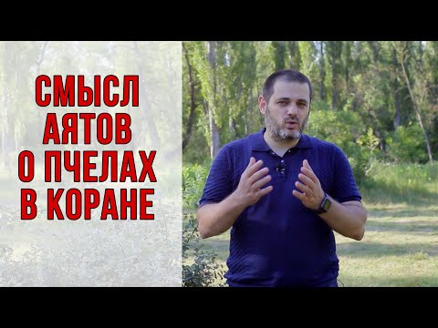 Уповать на Всевышнего или лечиться? Уроки Корана 5