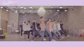 [Dance Practice] SEVENTEEN(세븐틴) - 예쁘다 (Pretty U) Dancecal ‘LOVE ver.’