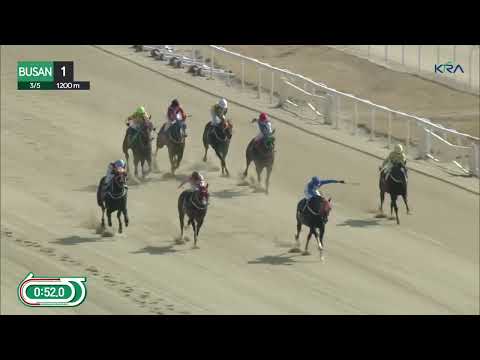 (Busan) 2023.03.05 R1 Class 6 (1200M) Special Weight A