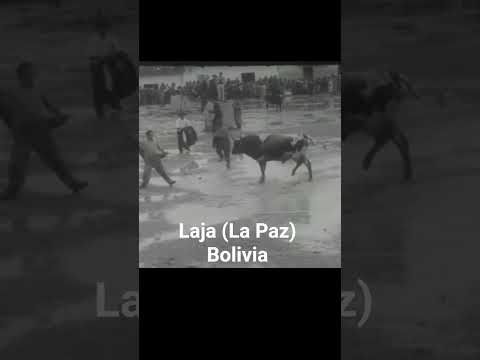 Corrida de toros Laja (La Paz) Bolivia