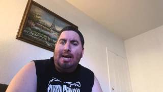 livy high singing stay cover