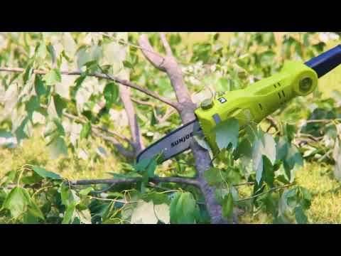 Sun Joe® 24Volt 8 Cordless Telescoping Pole Chain Saw Kit