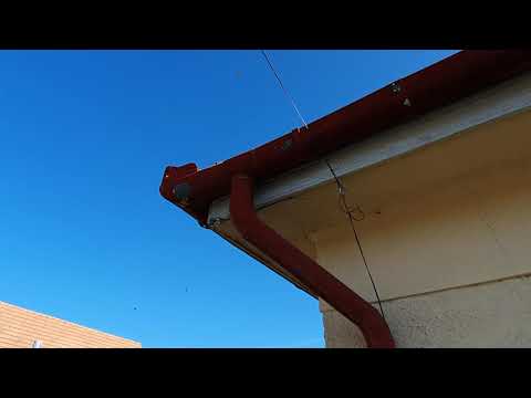 Darazsak a padláson - soskartevostop.hu