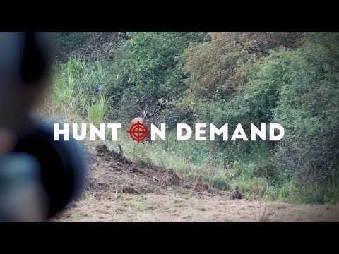 Hirschbrunft in der Eifel – @Huntingroom Hunt on Demand Trailer