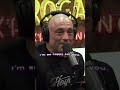 Suga Sean & Timbo Come Full Circle w/ Joe Rogan #ufc #jre