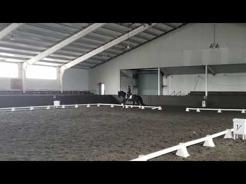 Bacardi schooling at the Rcra