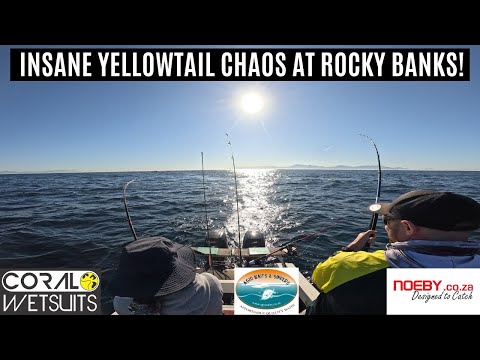 EPIC Yellowtail Frenzy at Rocky Banks! Triple & Double Hookups Non-Stop!