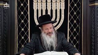 הרה"ג ר' שמעון שנייבלג שליט”א | דבר חינוך אקטואלי מהפרשה | פרשת נח | אידיש
