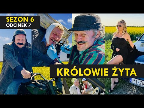 KRÓLOWIE ŻYTA Sezon 6 odc. 7 I SZOK Wyrwany ząb WSKą
