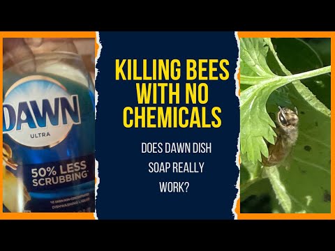 killing bees with soap and water- sadly..