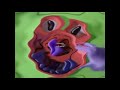 Zoopals In New No Invaders No Dragons No Trolls Effect