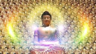 Liên Khúc Nhạc Phật Giáo - Nhiều Ca Sĩ Liên Khúc Nhạc Phật Giáo - Nhiều Ca Sĩ