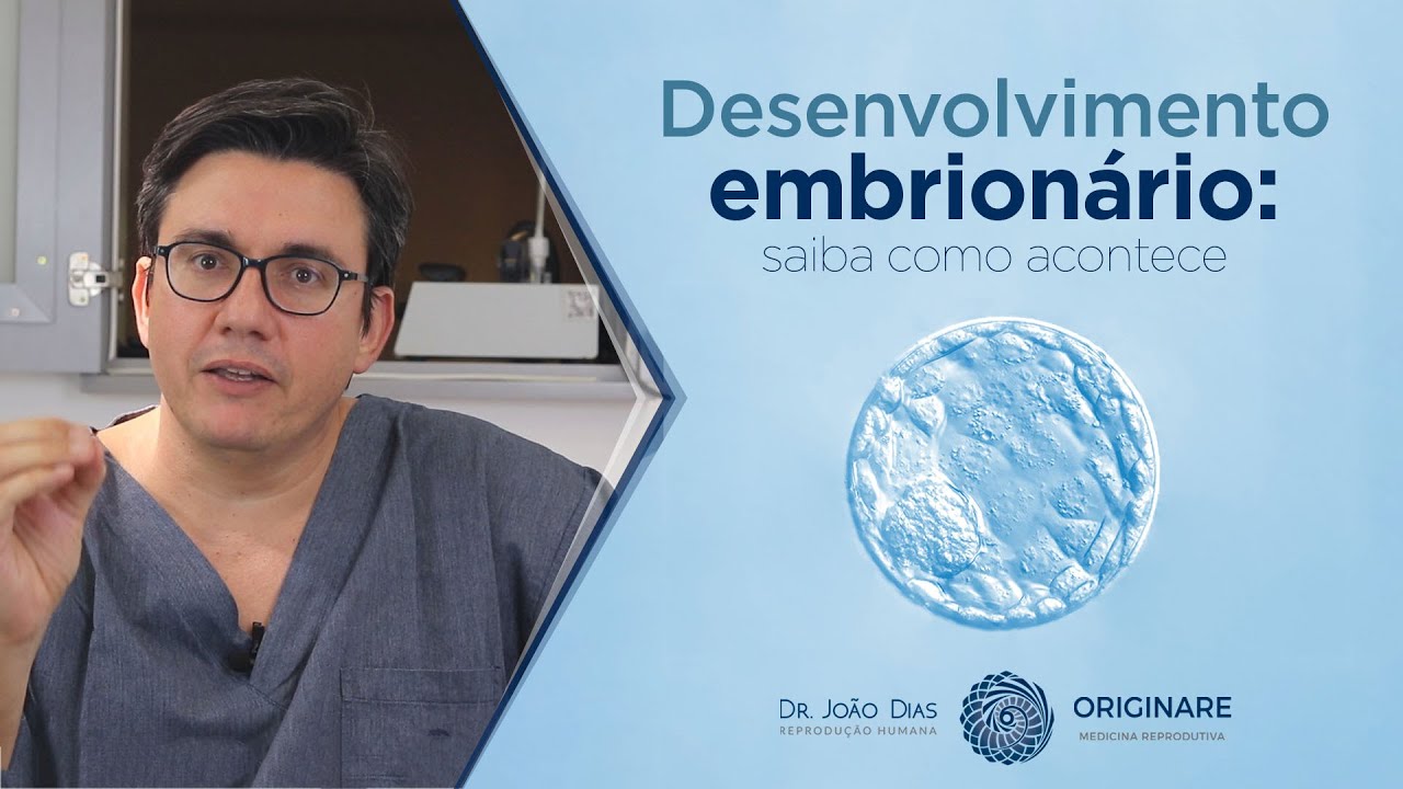 Desenvolvimento embrionário: saiba como acontece - Dr. João Dias
