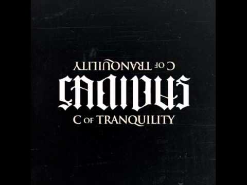 Canibus Cingularity Point AND HOLOSOPHY MILITIA thumbnail