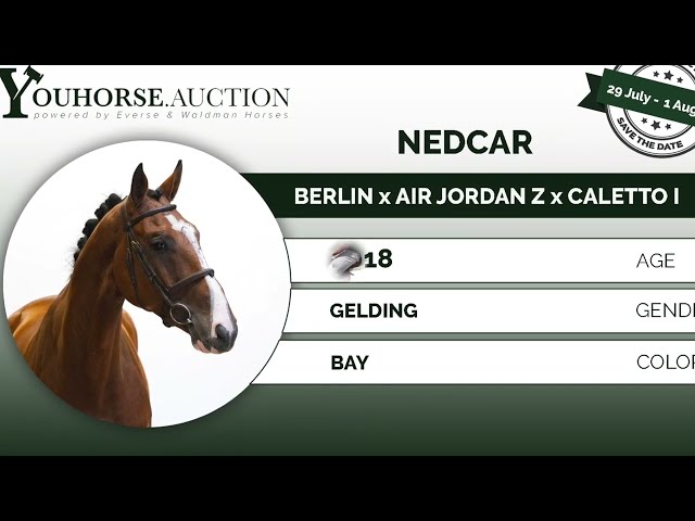 Nedcar