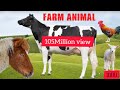 Farm Animals Sounds Farm Animals For Kids Learn Animals Cow Horse Reinone Animal