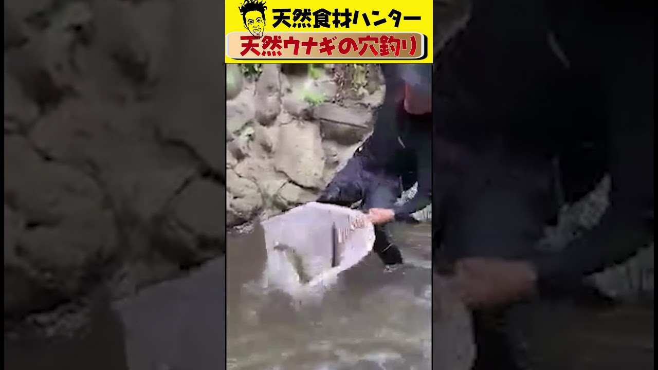 【ウナギ穴釣り】田圭太は様々な天然食材を捕獲・採集し数々の飲食店へと卸す「天然食材ハンター」です