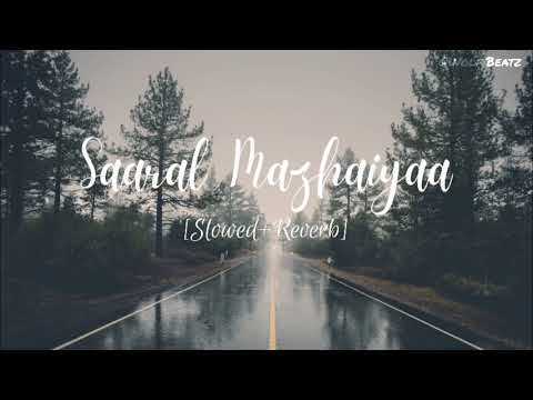 Saaral Mazhaiyaa | Album song | Slowed+Reverb | Cover version | Remix | Wolf Beatz